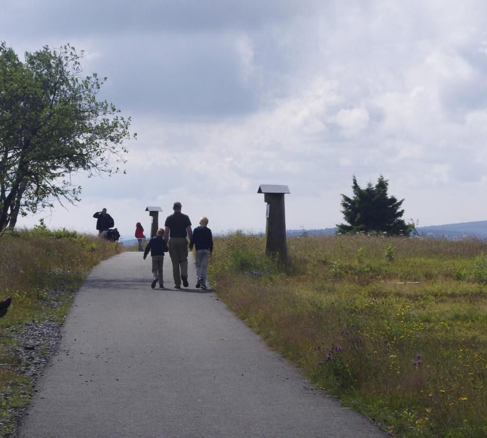 de Vinkenborg nabij Winterberg Villa Buitenkant foto