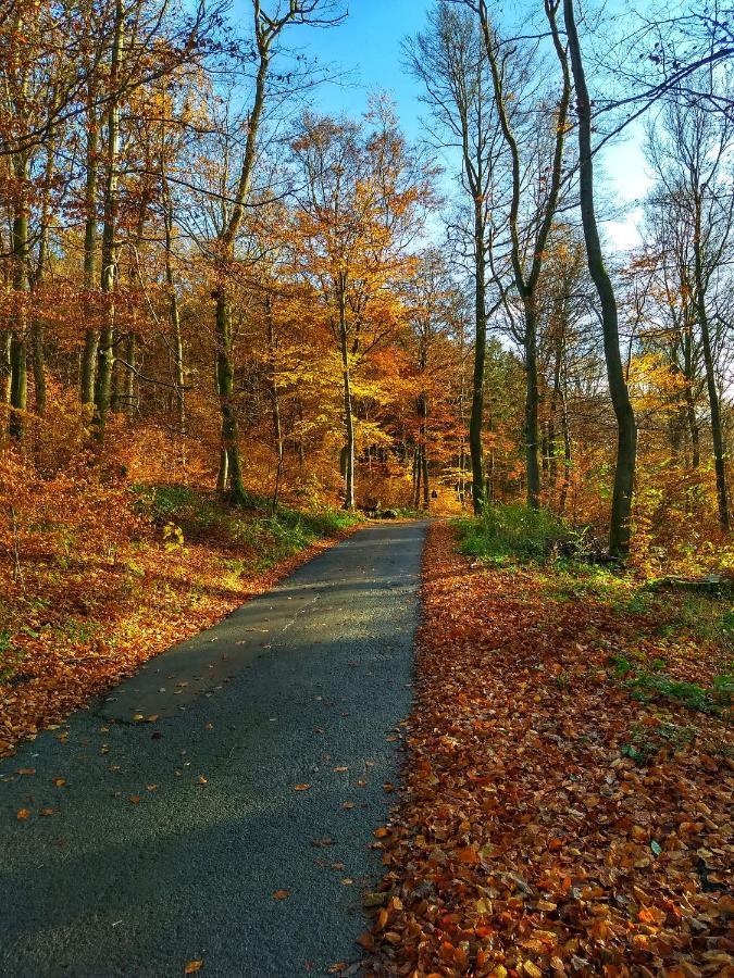 de Vinkenborg nabij Winterberg Villa Buitenkant foto