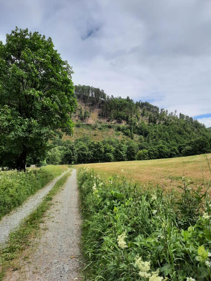 de Vinkenborg nabij Winterberg Villa Buitenkant foto