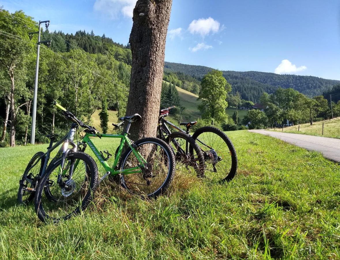 de Vinkenborg nabij Winterberg Villa Buitenkant foto