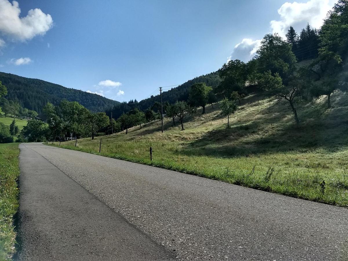 de Vinkenborg nabij Winterberg Villa Buitenkant foto