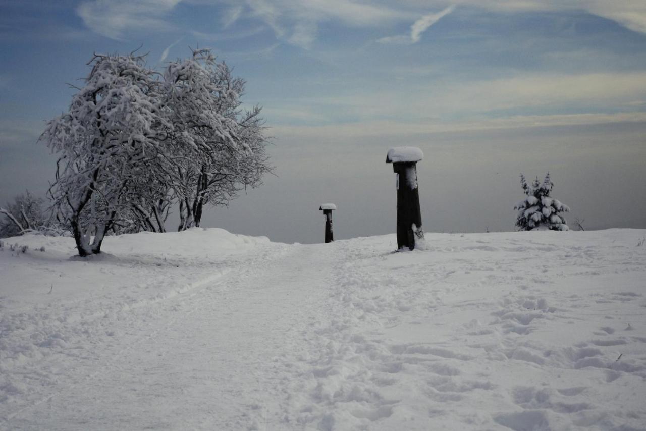 de Vinkenborg nabij Winterberg Villa Buitenkant foto